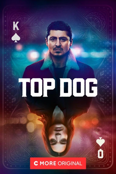 Top Dog