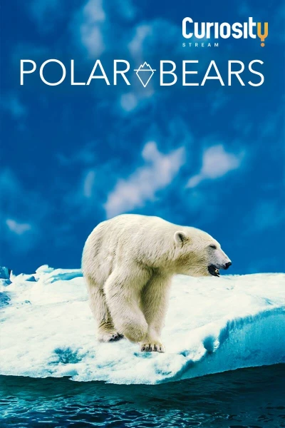 Polar Bears