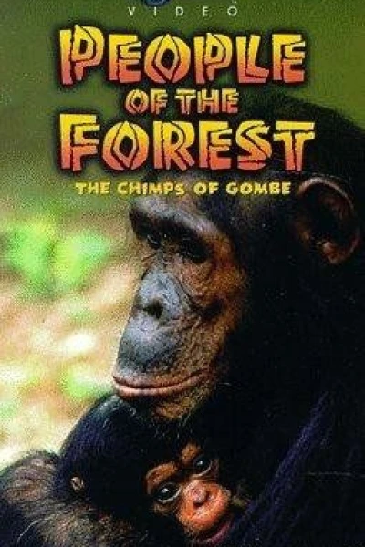 People of the Forest: The Chimps of Gombe