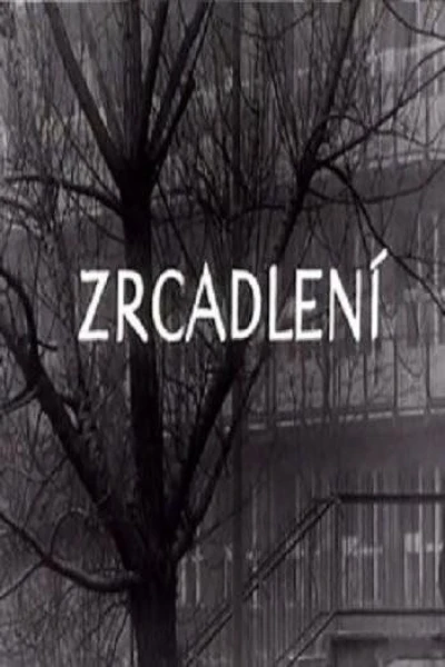 Zrcadlení