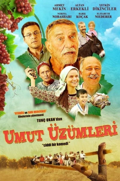 Umut üzümleri