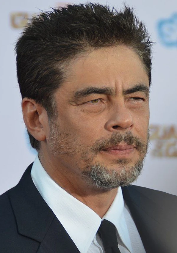 <strong>Benicio del Toro</strong>. Bilde  Mingle Media TV.