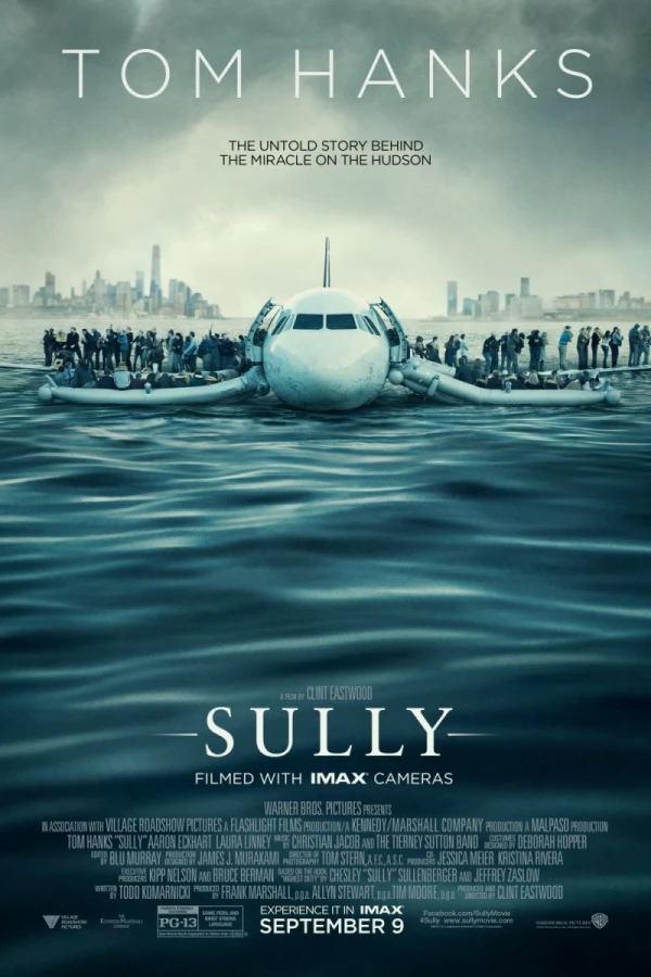 Sully Plakat