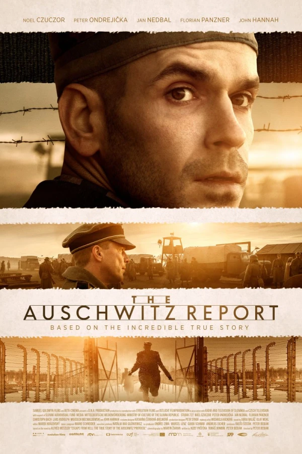 The Auschwitz Report Plakat