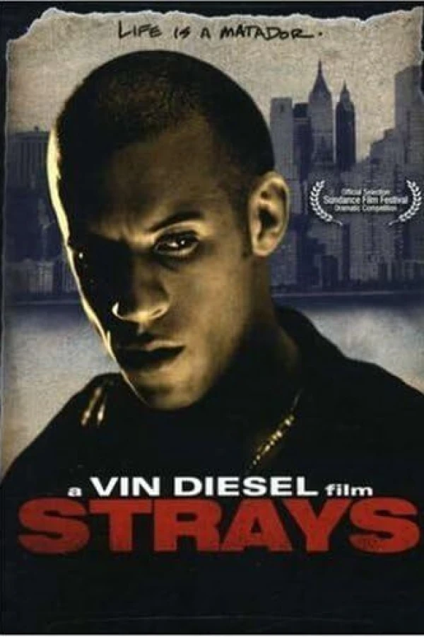 Strays Plakat