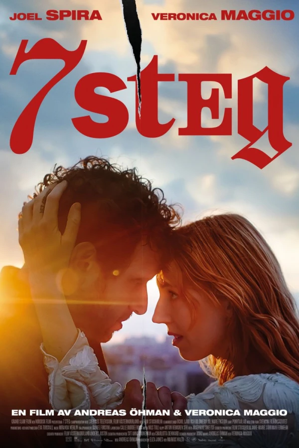 7 steg Plakat
