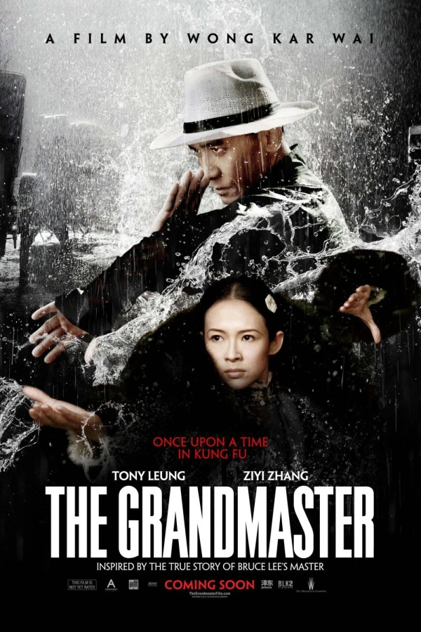 The Grandmaster Plakat