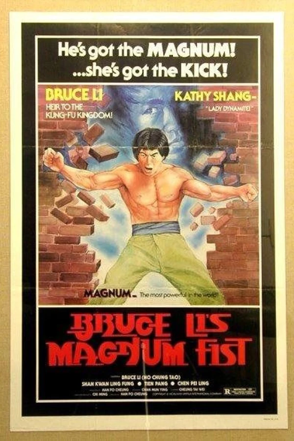 Bruce Li's Magnum Fist Plakat