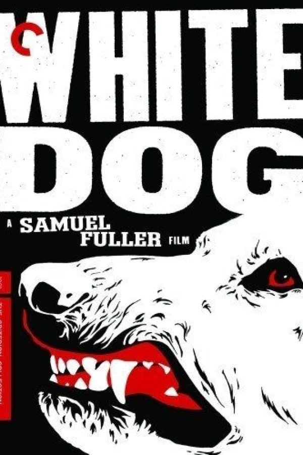 White Dog Plakat