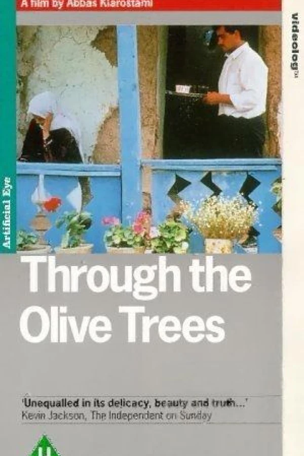 Through the Olive Trees Plakat