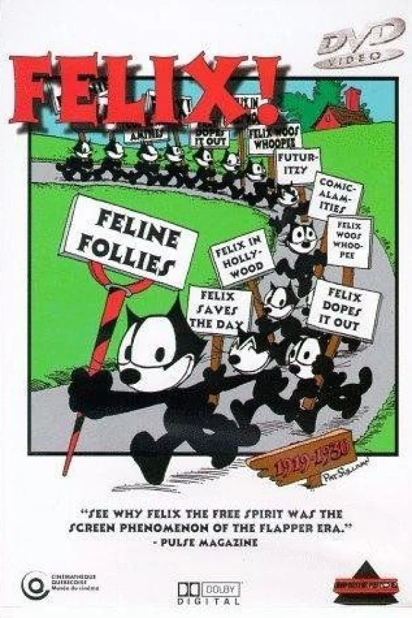 Feline Follies Plakat