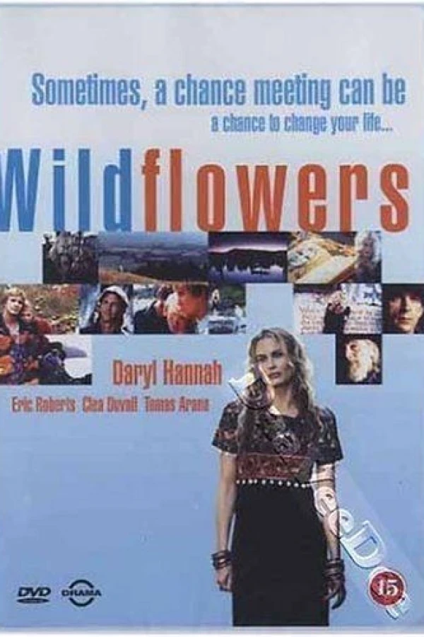 Wildflowers Plakat