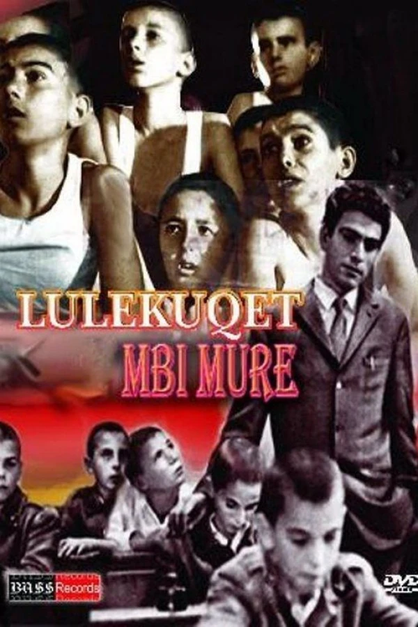 Lulekuqet mbi mure Plakat