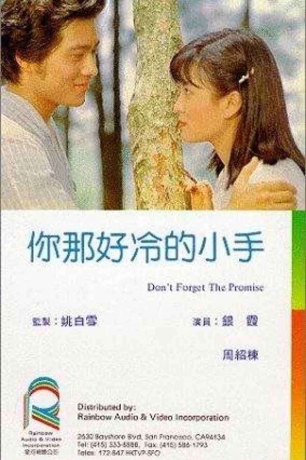 Don't Forget the Promise Plakat