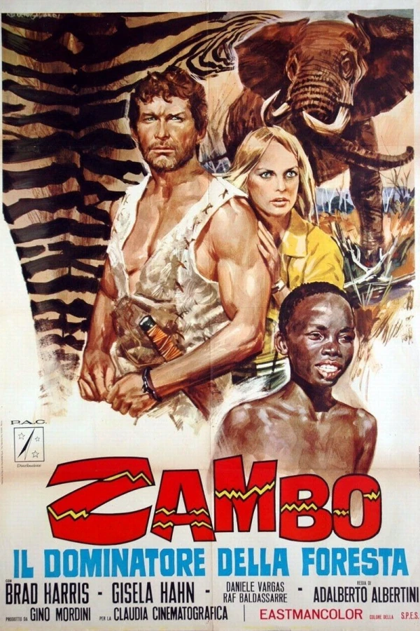 Zambo, King of the Jungle Plakat