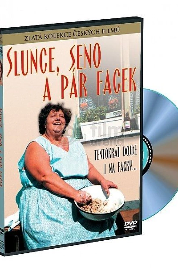 Slunce, seno a pár facek Plakat