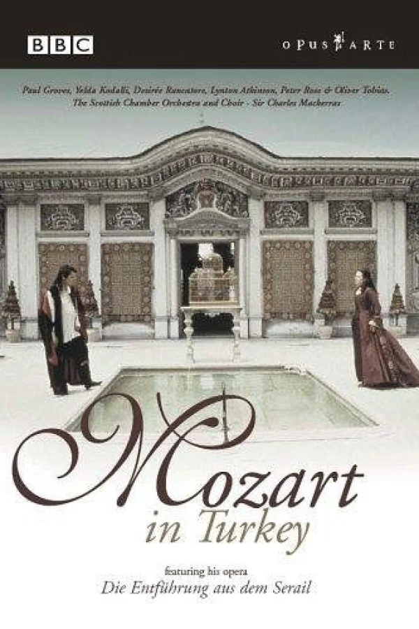 Mozart in Turkey Plakat