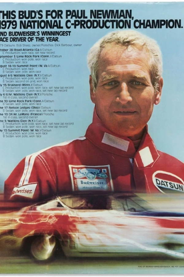 The Racing Experience Plakat