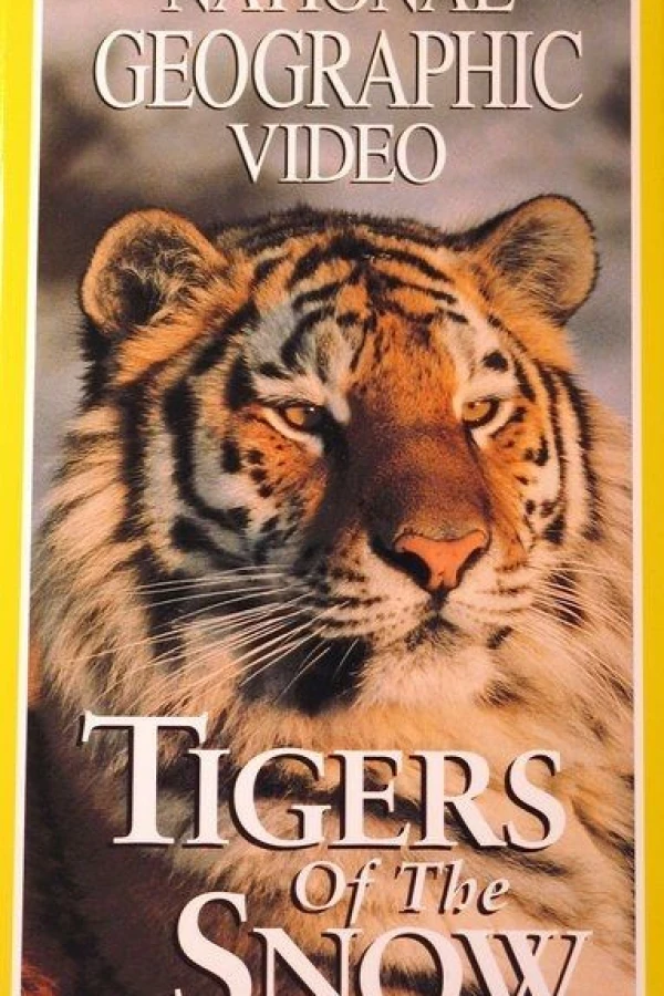 Tigers of the Snow Plakat