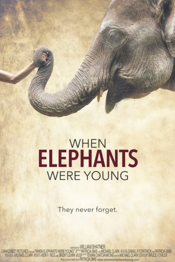 When Elephants Were Young Plakat