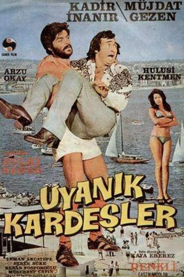 Uyanik Kardesler Plakat