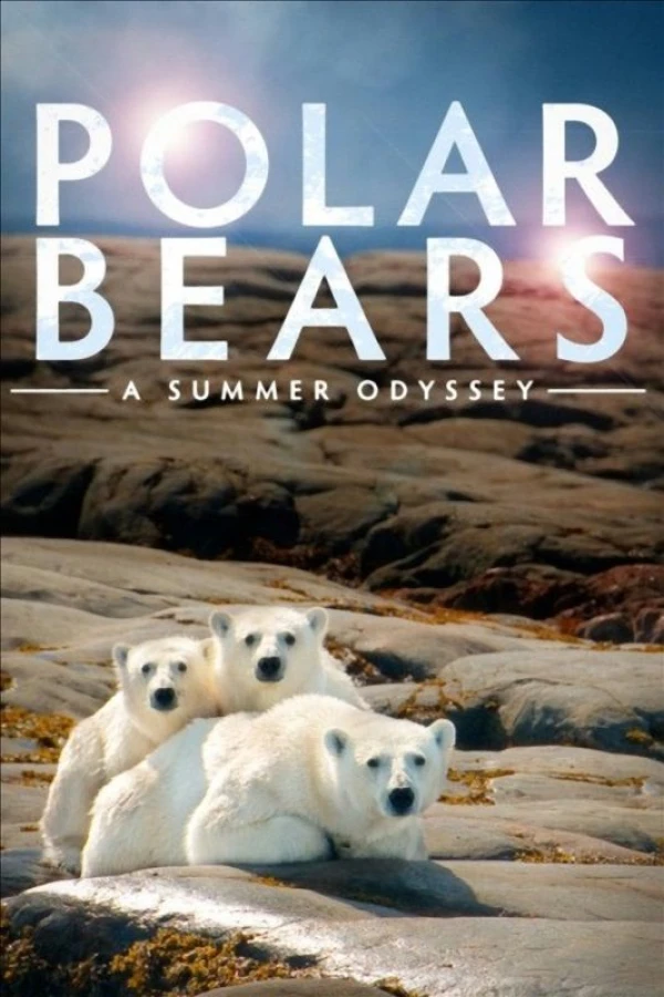 Polar Bears: A Summer Odyssey Plakat