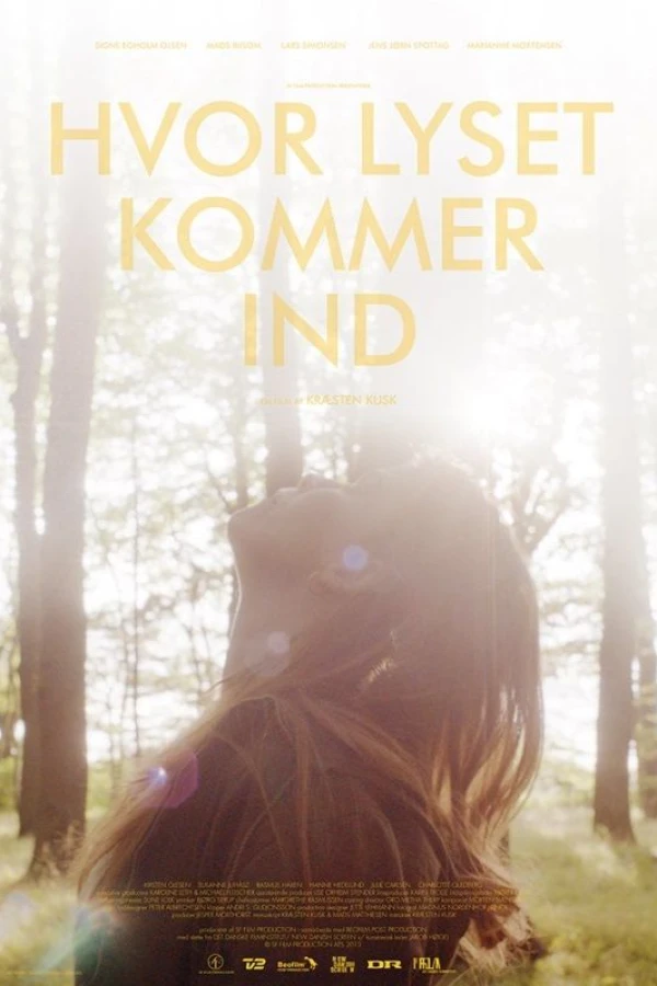 Hvor lyset kommer ind Plakat