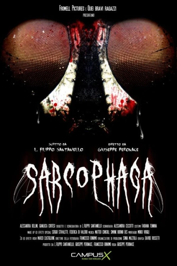 Sarcophaga Plakat