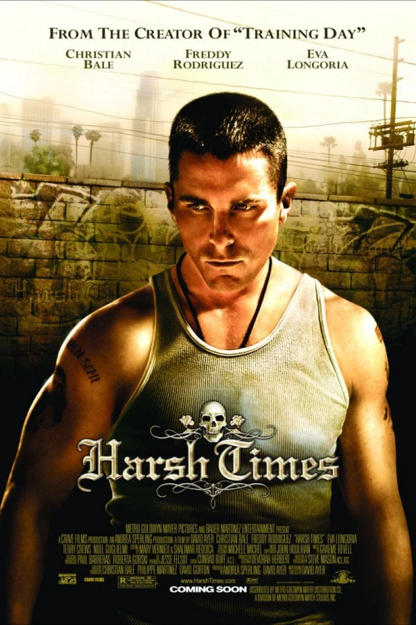 Harsh Times Plakat