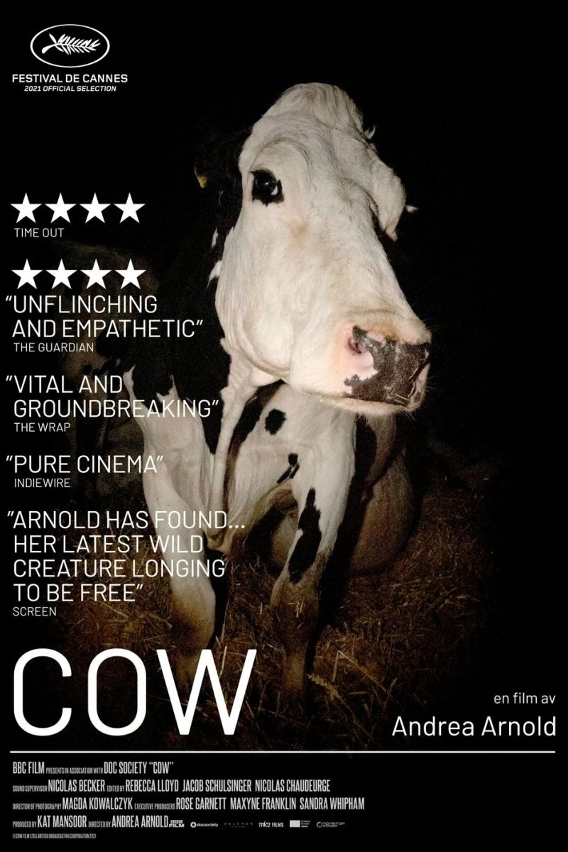 Cow Plakat