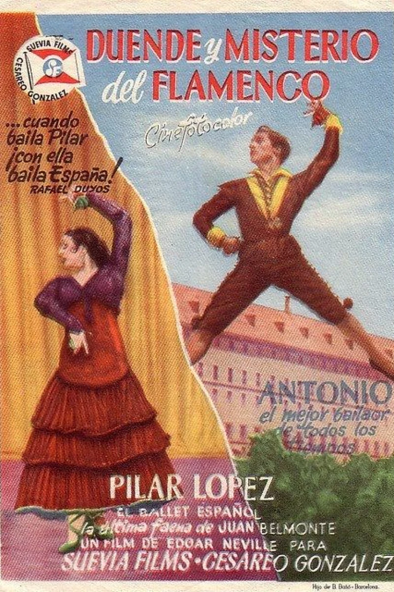 Flamenco Plakat