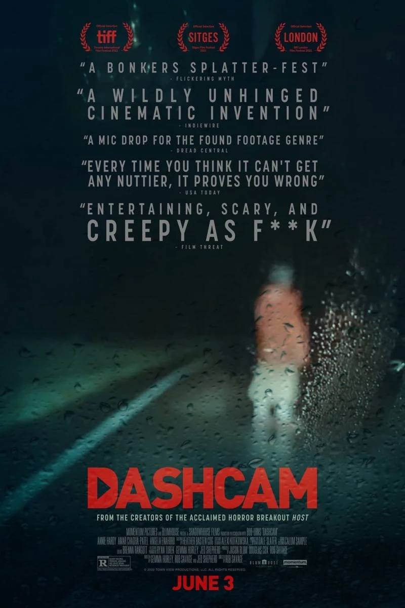 Dashcam Plakat