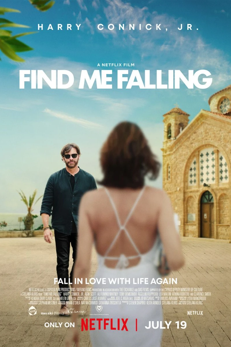 Find Me Falling Plakat