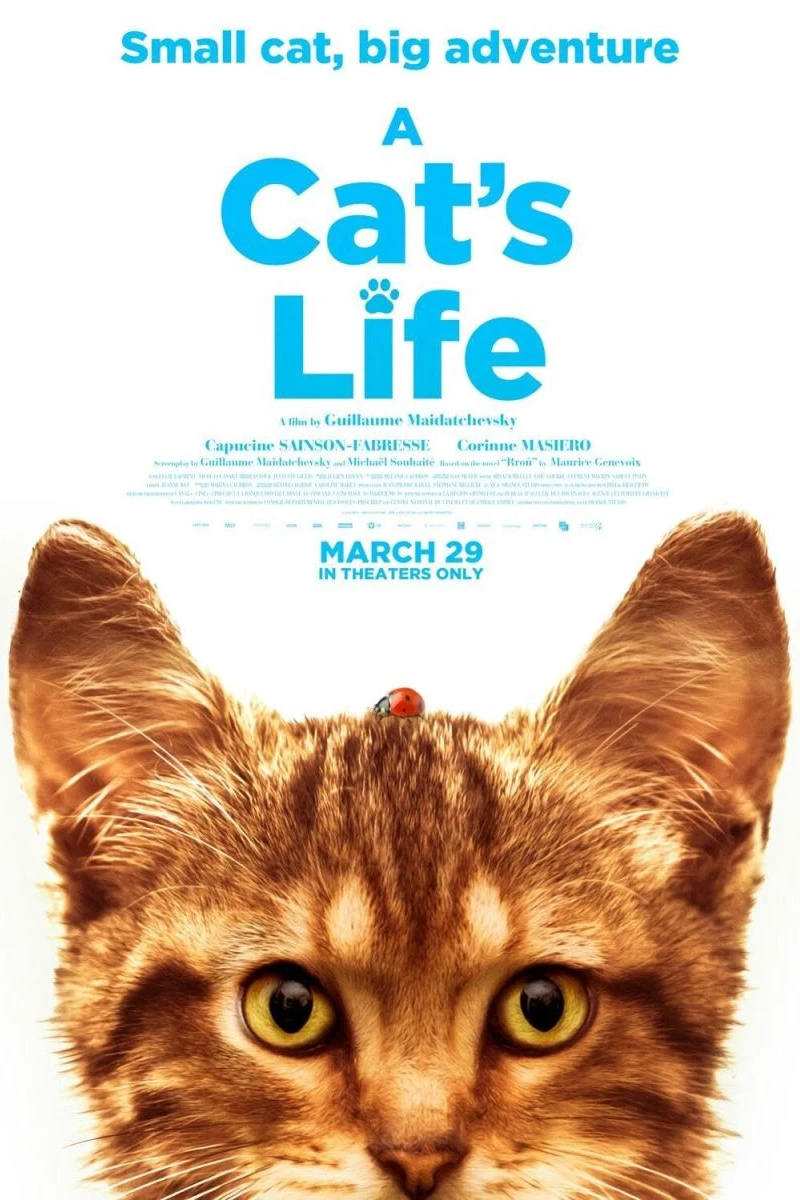 A Cat's Life Plakat