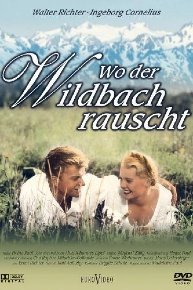 Wo der Wildbach rauscht Plakat