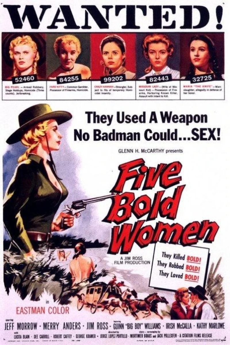 Five Bold Women Plakat