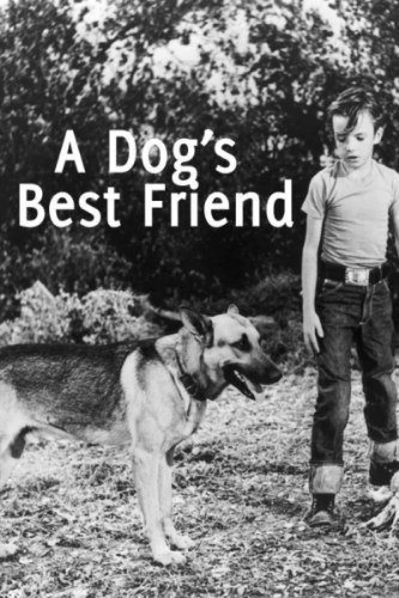 A Dog's Best Friend Plakat