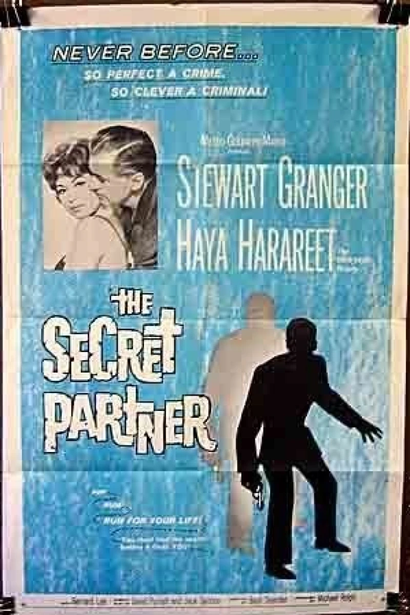 The Secret Partner Plakat