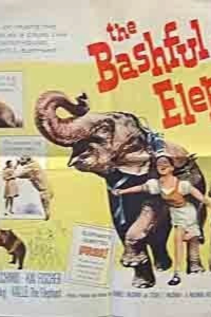 The Bashful Elephant Plakat