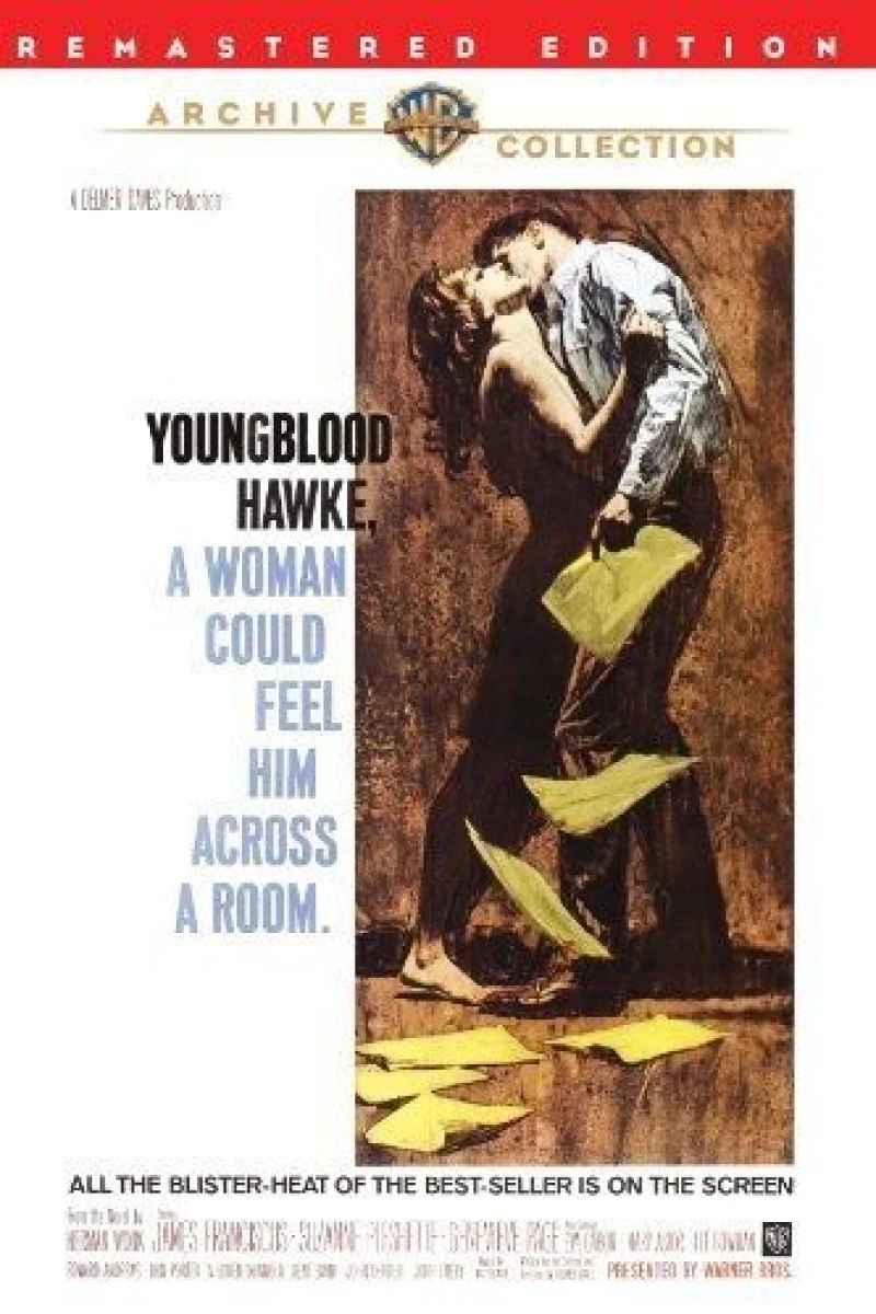 Youngblood Hawke Plakat