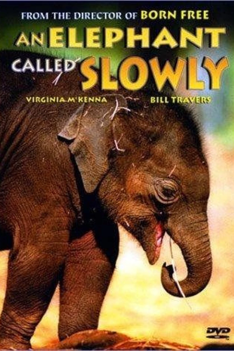 An Elephant Called Slowly Plakat