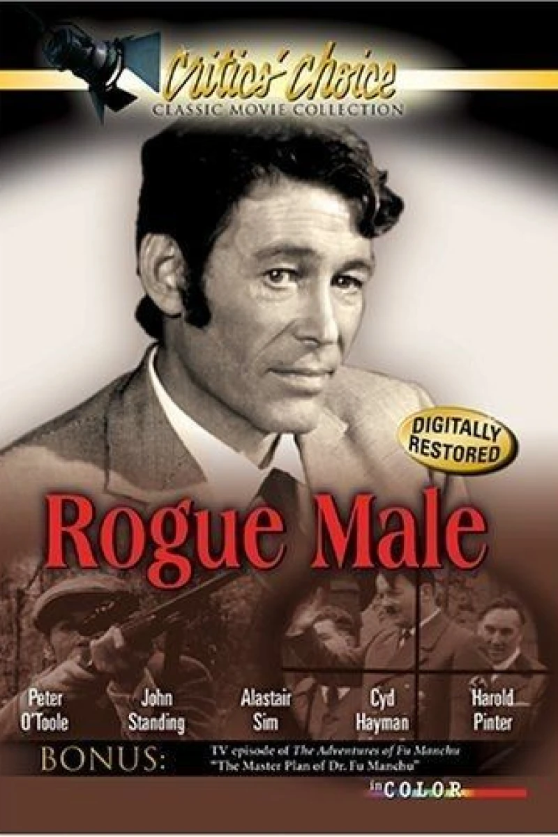 Rogue Male Plakat