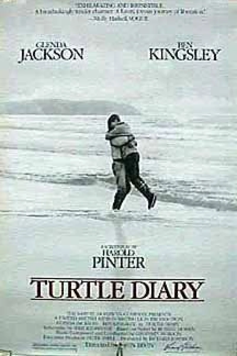 Turtle Diary Plakat