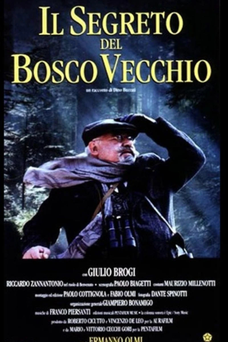 Il segreto del bosco vecchio Plakat