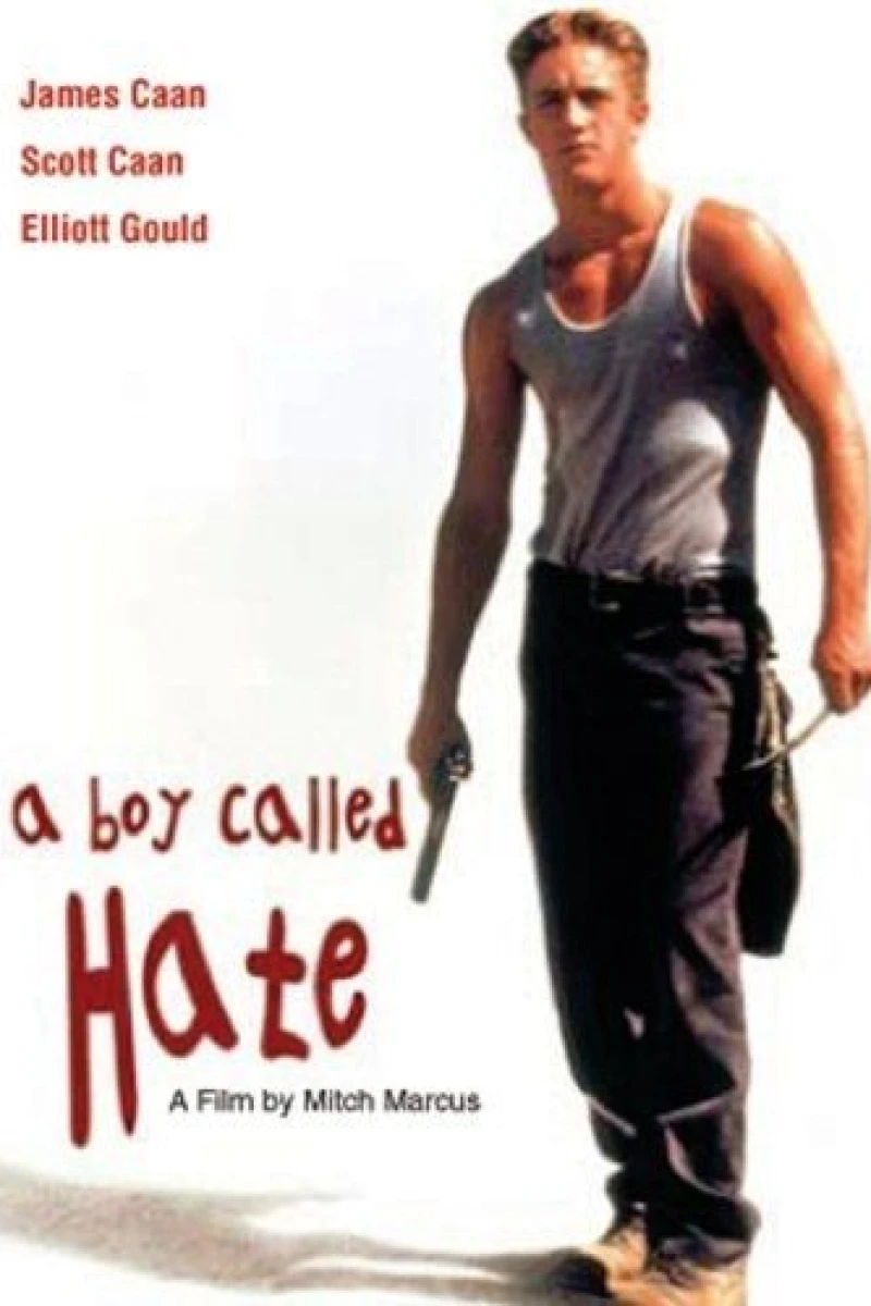 A Boy Called Hate Plakat