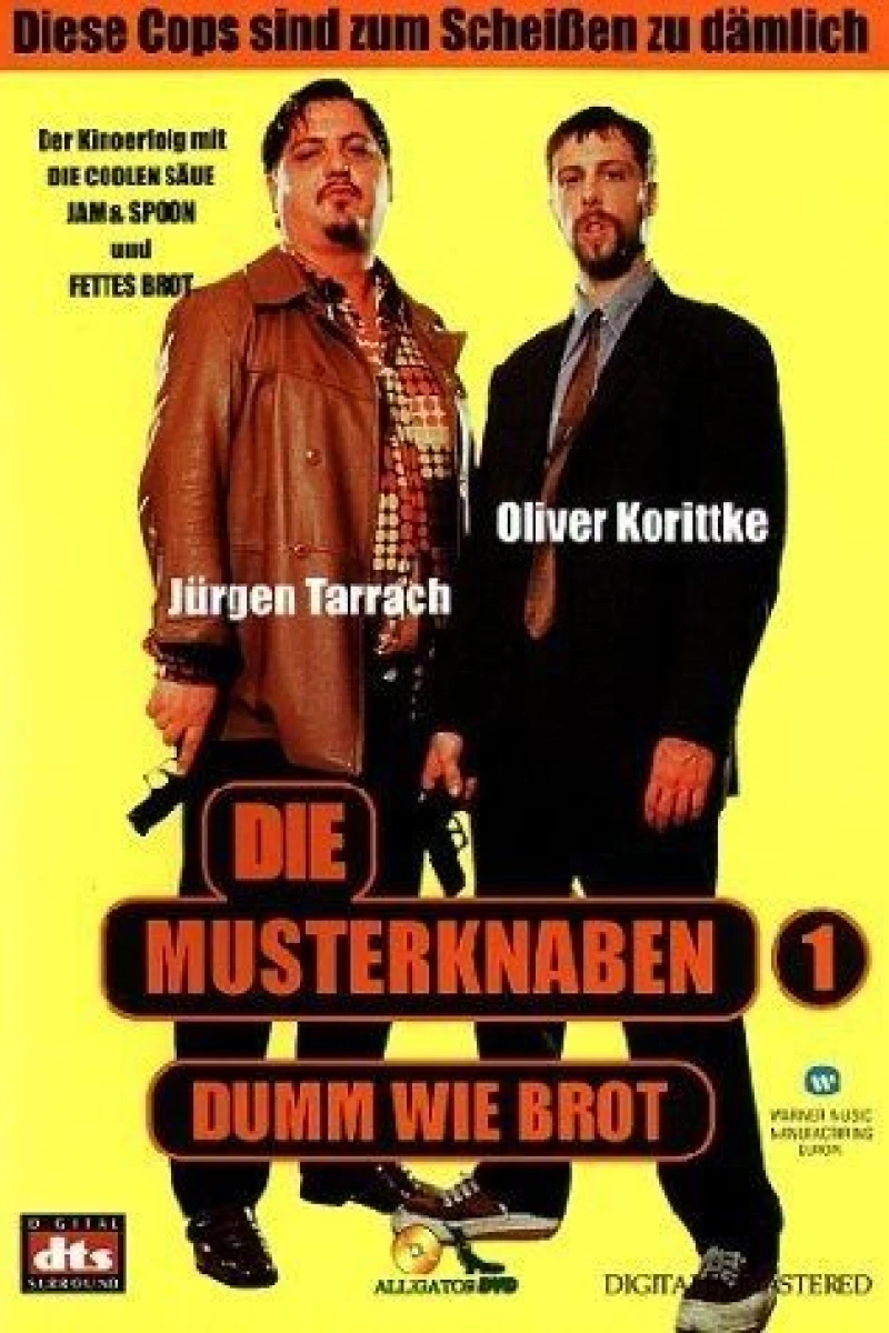 Die Musterknaben Plakat