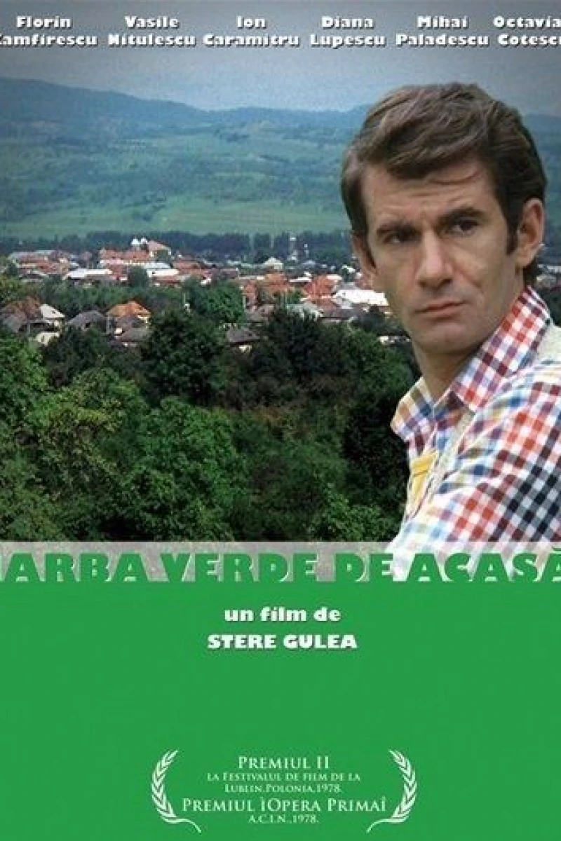 Iarba verde de acasa Plakat