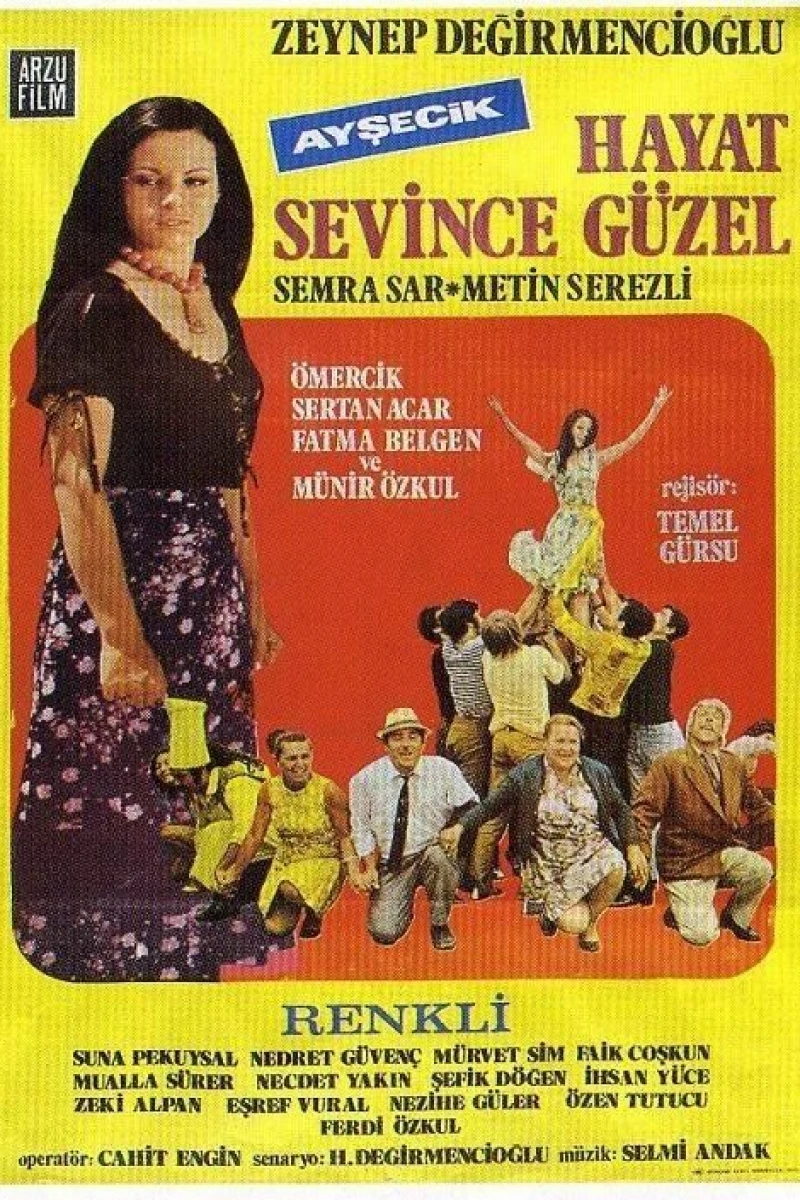 Hayat sevince güzel Plakat