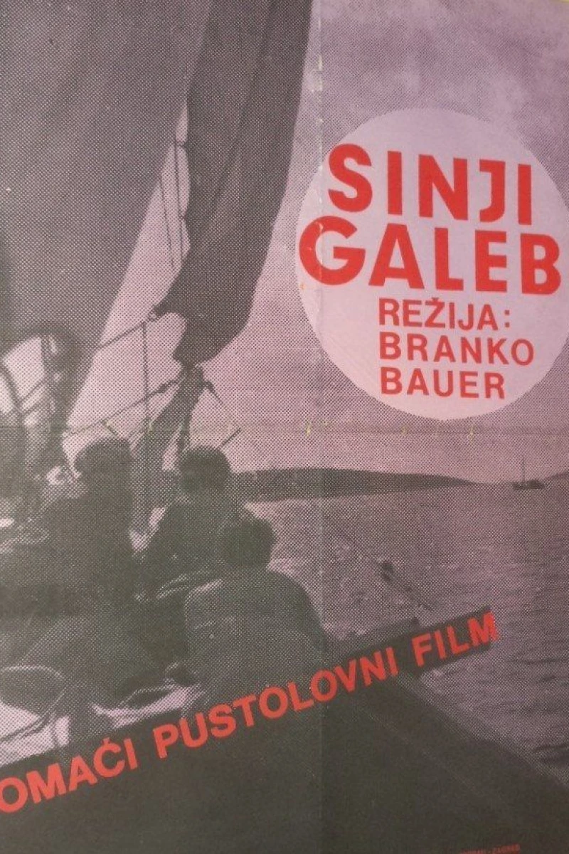 Sinji galeb Plakat