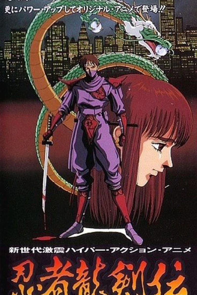 Ninja gaiden Plakat